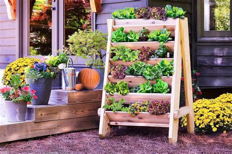 22 Stunning Container Vegetable Garden Design Ideas & Tips