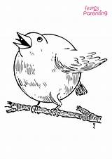 Easy Printable Robin Coloring Pages For Kids sketch template