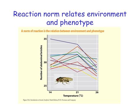 PPT - Chapter 19 The Inheritance of Complex Traits PowerPoint Presentation - ID:5182549