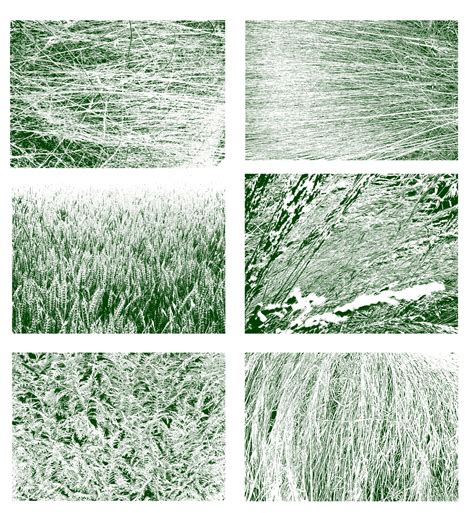 14 Grass Texture Brushes Photoshop Brushes photoshop brushes | Etsy