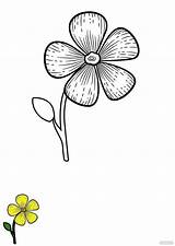 Flower Coloring Page Templates In PDF  FREE Download Templatenet sketch template