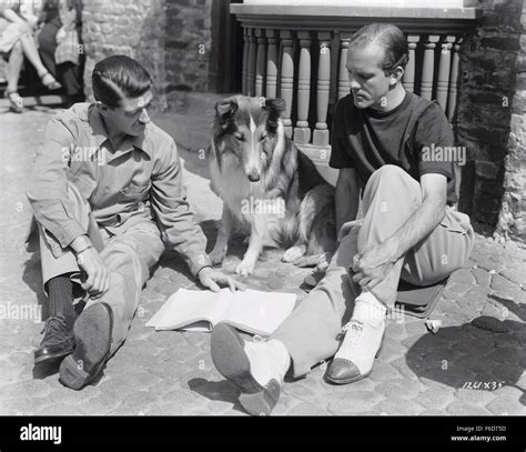 Lassie come home 1943 hi-res stock photography and images - Alamy