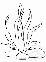 Ocean coloring page Printable seaweed  Coloring Page sketch template