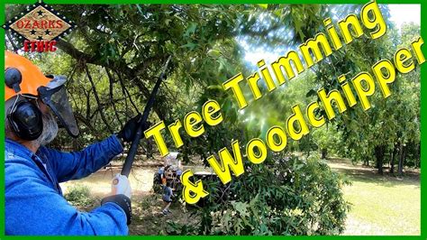 Tree Trimming with a Lift & Chipping the Limbs - YouTube