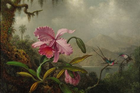 Orchids and Hummingbirds - Martin Johnson Heade - WikiArt.org ...