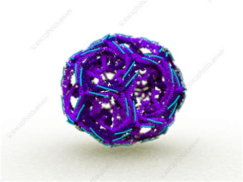 Clathrin molecule , illustration - Stock Image - C056/2965 - Science ...