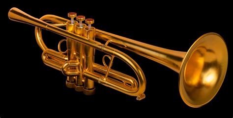 This is my new horn. It is so beautiful to play hear and see. http ...