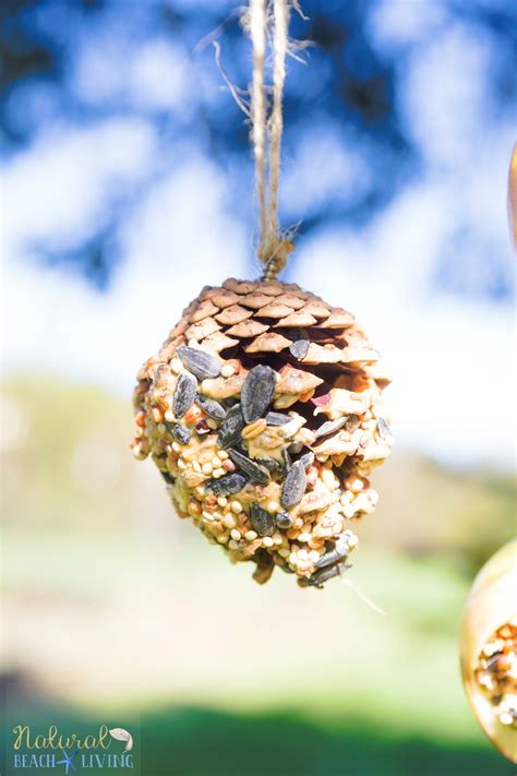 How to Make The Best Pine Cone Bird Feeder - Natural Beach Living