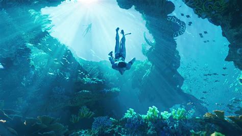 Tổng hợp hình nền underwater background pc đẹp và ấn tượng