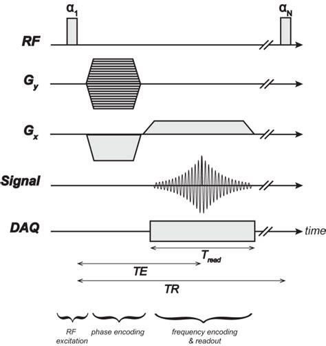 [DIAGRAM] Pulse Diagram Mri - MYDIAGRAM.ONLINE