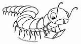 Millipede Coloring Pages sketch template