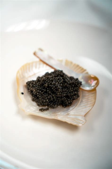 Buy Fresh Paddlefish Caviar Online from North American Caviar