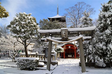 Snow in Kyoto | Japan, Kyoto, Snow