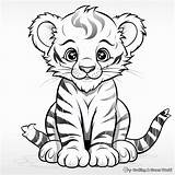 Cute Baby Tiger Coloring Pages  Free & Printable sketch template
