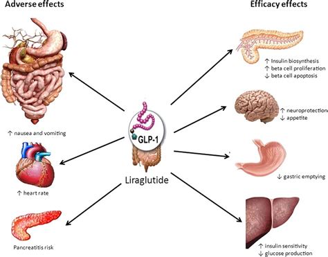 Liraglutide, Used For Treating Against Type 2 Diabetes And Obesity ...