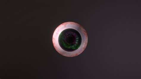 Human Eye - Download Free 3D model by albindristig [b42d09e] - Sketchfab