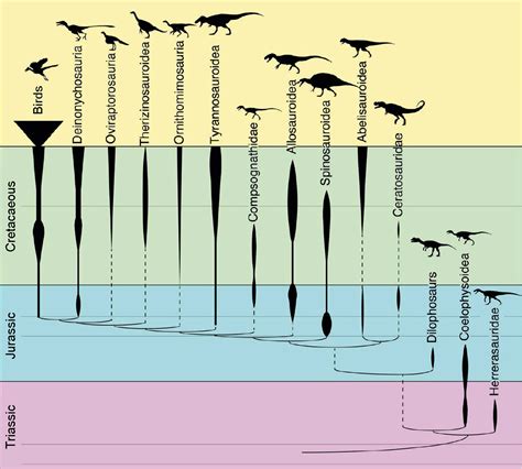 A Classification of the Theropoda – Palaeolove. Science meets Design