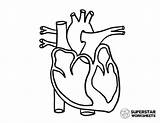 Chambers Of The Heart Coloring Pages sketch template
