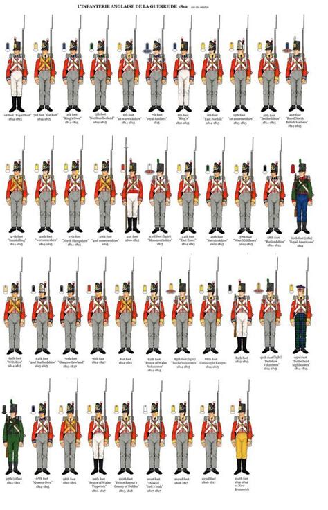 √ British Army Rank Insignia Napoleonic Wars - Navy Visual