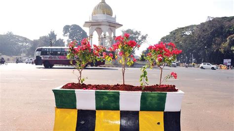 Median Strip Gardens to enhance city's beauty - Star of Mysore