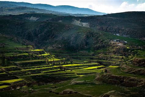 Six Years After Sinjar Massacre, Support and Services are Vital for Returning Yazidis | by ...