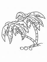 Palm Tree Coloring Pages  Best For Kids sketch template
