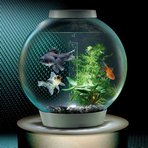 Common Sizes of Fish Tanks | Glass Fish Tanks