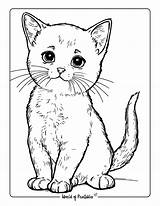 Real Cat Coloring Pages sketch template
