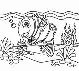 40  Clownfish Coloring Pages Free Printable PDF JPG PNG & Online sketch template