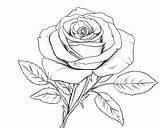 Printable Rose Coloring Pages sketch template