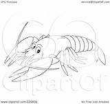 Lobster Clipart Clip Outline Coloring Drawing Pages Line Printable  sketch template