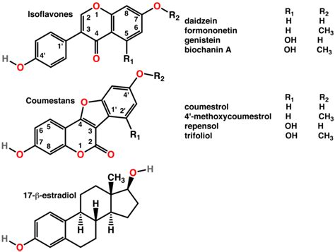 Soy Protein - Supplements in Review