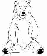 Bear Coloring Pages  Free Printable For Kids sketch template