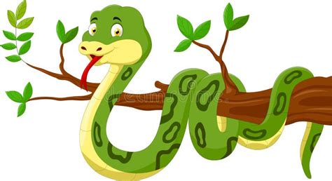 Cute Green Snake Cartoon On Tree Stock Illustration - Illustration of line, wild: 32003653