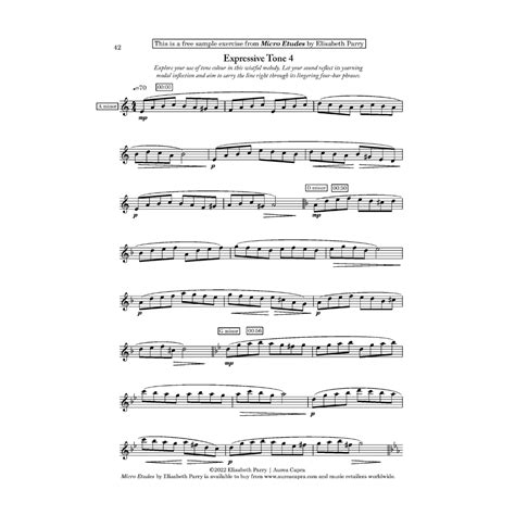 Parry Micro Etudes: Melodic Technique Exercises for Flute - Aurea Capra Editions