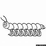 Centipede Coloring Page sketch template