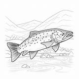 Trout Coloring Pages Images  Free Download On Freepik sketch template