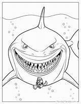 Bruce The Shark Finding Nemo Coloring Pages 2025 sketch template