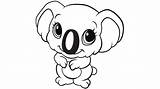 Koala Coloring Pages Cute Eucalyptus Bear Leaves Baby Drawing Cartoon  sketch template