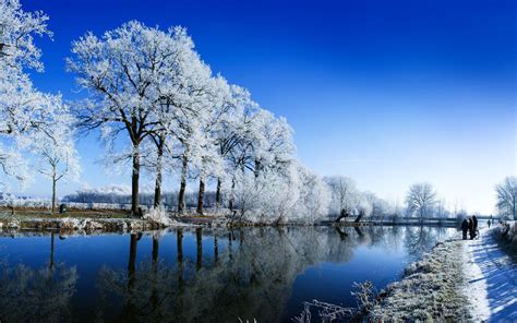 Winter and Snow Wallpaper