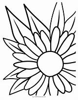 30 Flower Coloring Pages sketch template