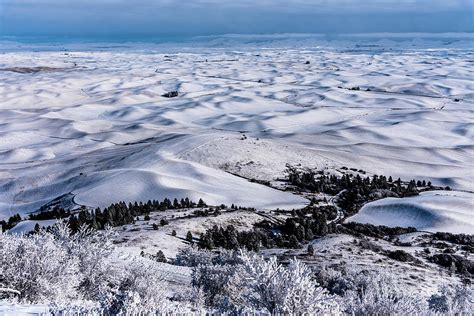 Snow Covered Farmland In The Rolling Hills Of The Palouse From Steptoe ...