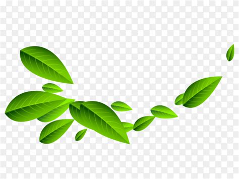 Clean flying green leaves Clipart PNG - Similar PNG