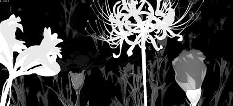 Pin by Pinner on sol | Anime flower, Black banner, Black and white gif