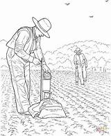 Agricultural Coloring Pages sketch template
