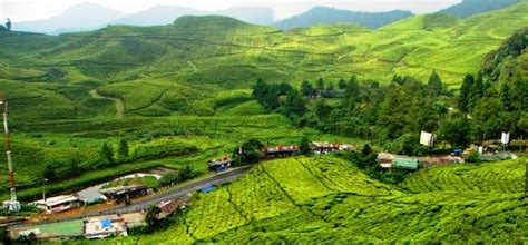 Keindahan Wisata Puncak Bogor Yang Begitu Mempesona | Like Wisata Indonesia