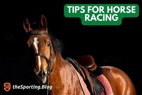 Tips for Horse Racing: How To Pick More Winners — The Sporting Blog