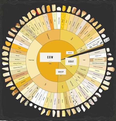 Cheese chart : food