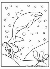 Killer Whale Coloring Pages Printable sketch template