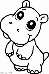 Cute Baby Hippo Coloring Pages sketch template